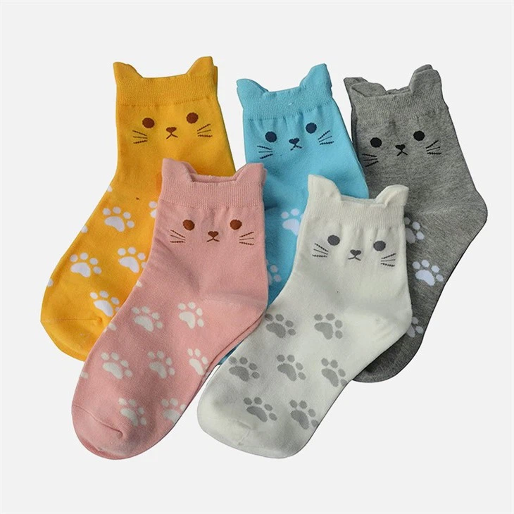 1116-587e1c98-b77f-4ff0-b170-85e7f402ec1e-None 1116-587e1c98-b77f-4ff0-b170-85e7f402ec1e-None